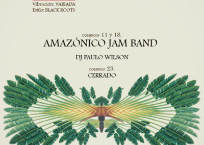 Cartel-web_Amazonico_Dicimiembre2016_Domingos
